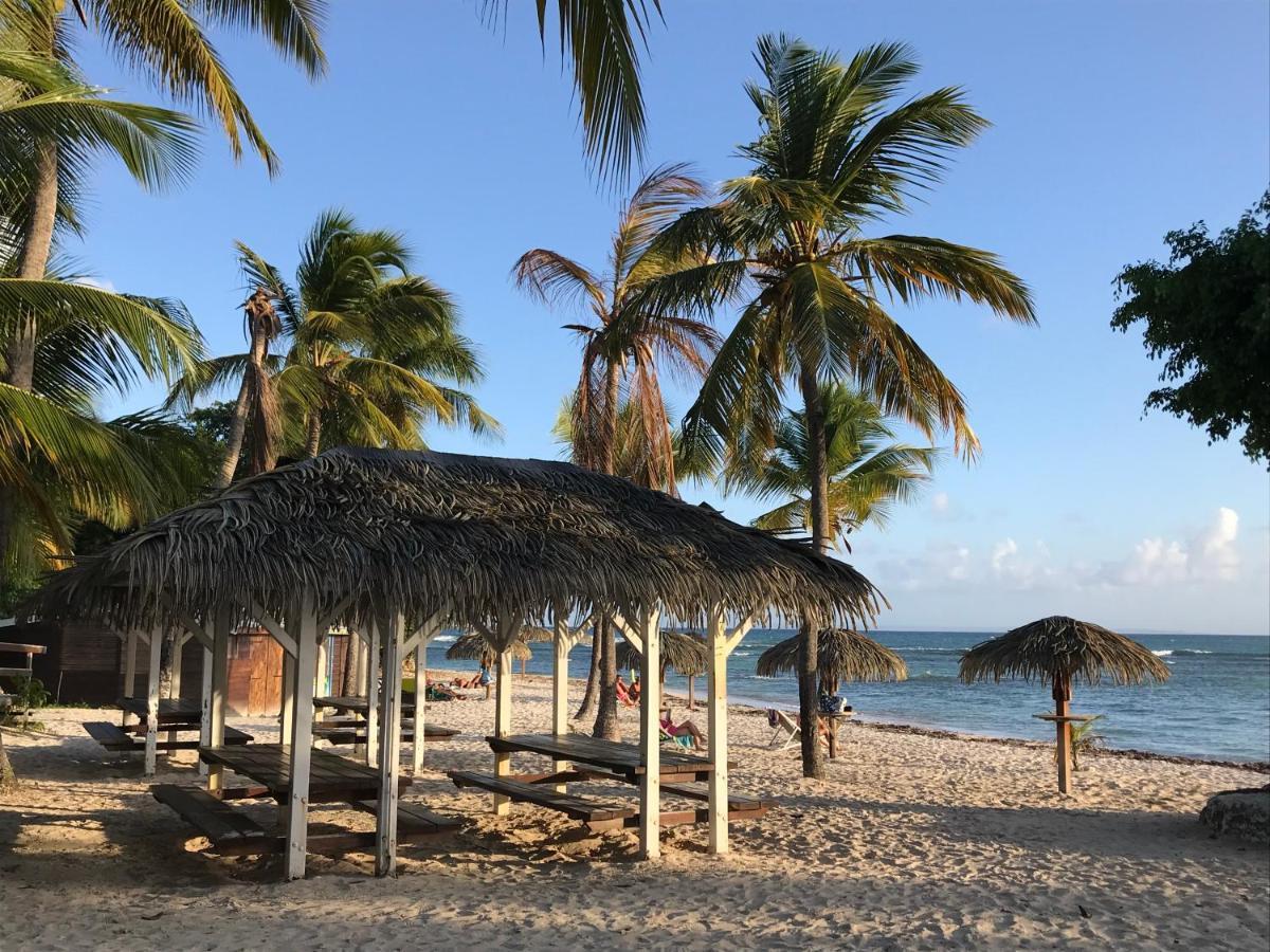Coeur Tiare Studio Lounge Piscine Plage Cocotiers Saint-Francois  Exterior photo